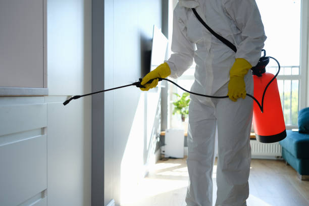 Best Toxic Mold Removal  in Fortville, IN